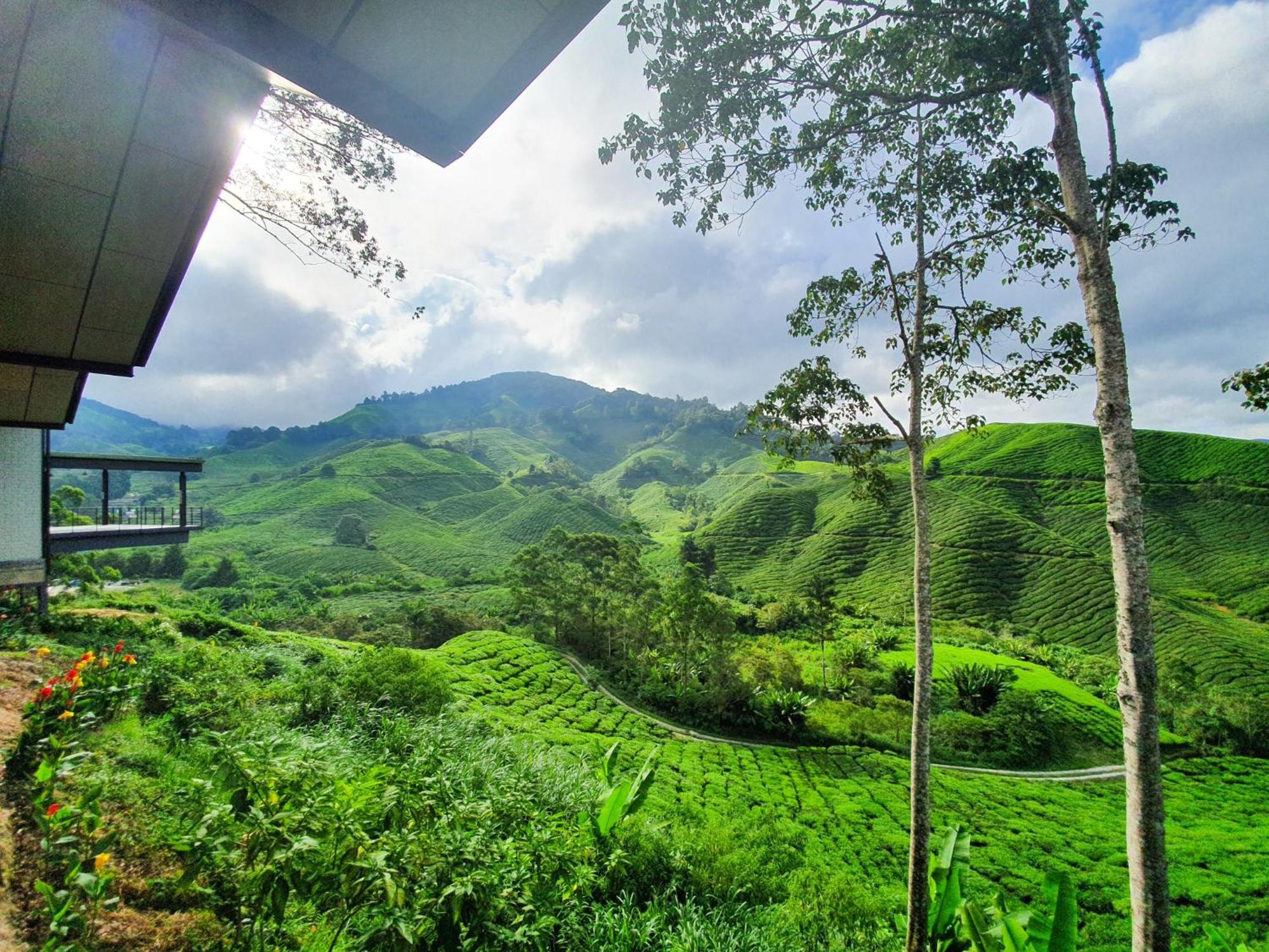 Clocktower 2 Homestay 2-7 Pax At Brinchang, Cameron Highlands Eksteriør billede