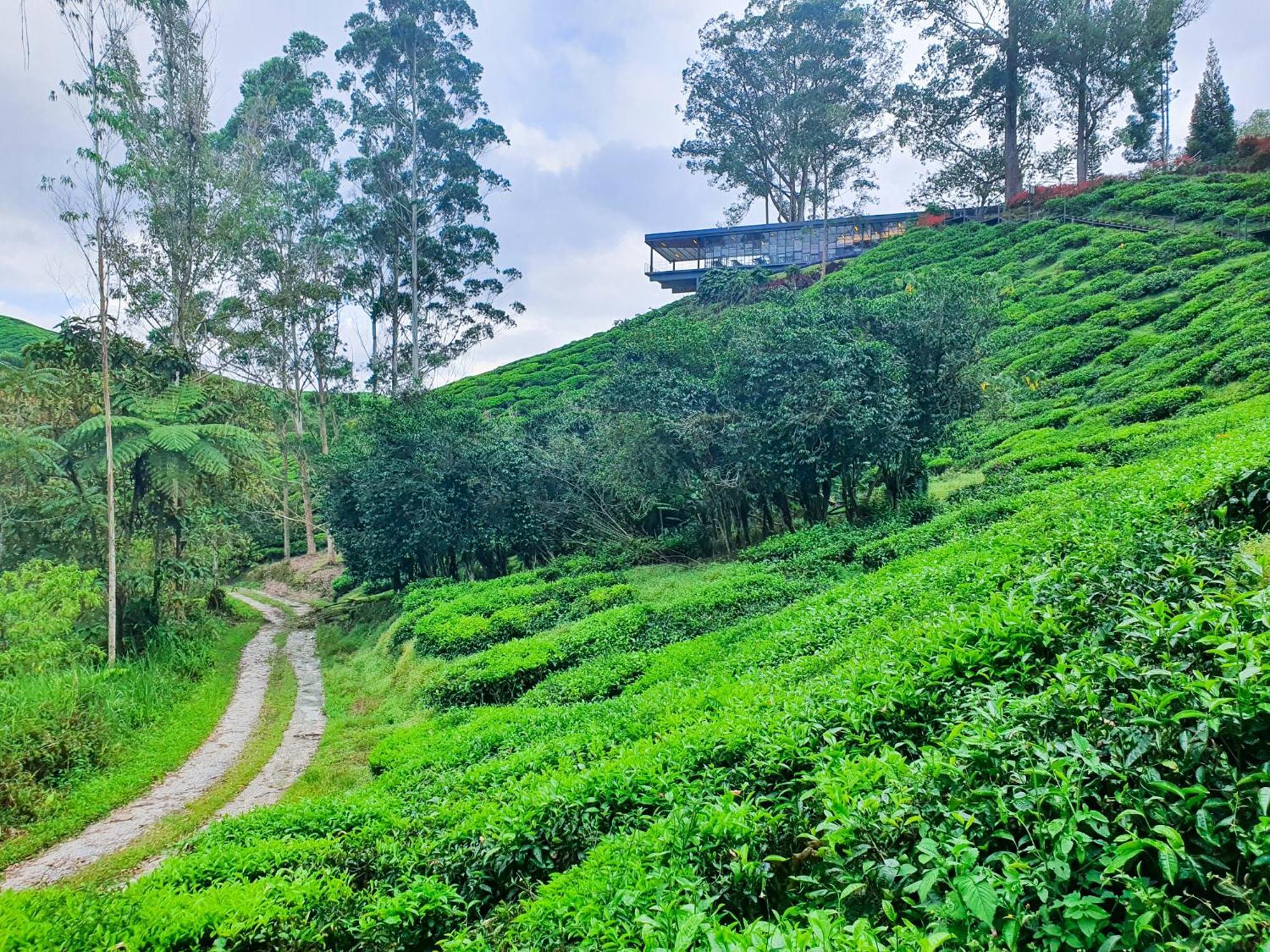 Clocktower 2 Homestay 2-7 Pax At Brinchang, Cameron Highlands Eksteriør billede